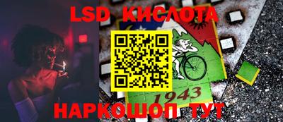 гидра Краснознаменск