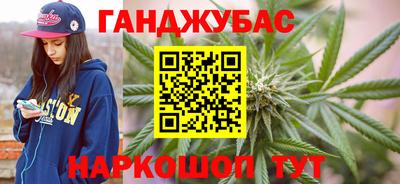 гидра Краснознаменск