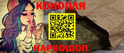 гидра Краснознаменск