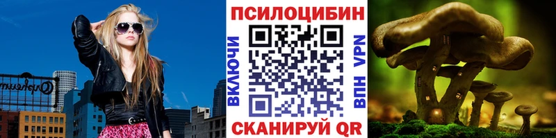 купить наркотик  нарко площадка клад  Галлюциногенные грибы GOLDEN TEACHER  Вологда 
