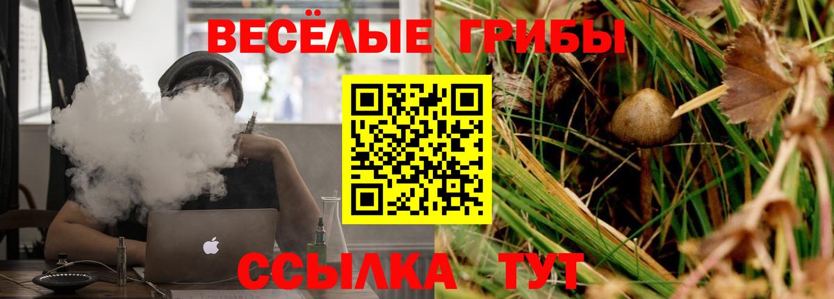 Конопля  ГАШ  Амфетамин кристаллы  Вход с VPN  Меф   Вологда  КОКАИН  ГАШИШ 