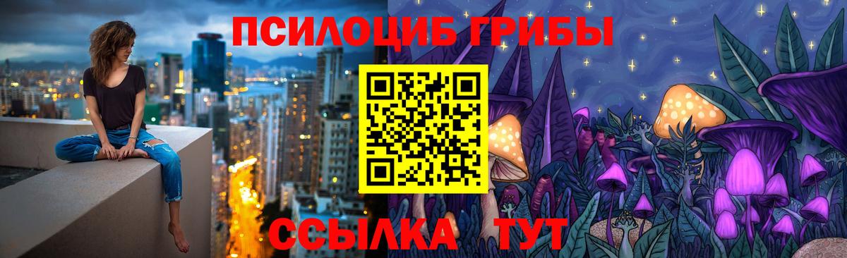 Вологда  как найти закладки  Псилоцибиновые грибы MAGIC MUSHROOMS  Вход с VPN  Псилоцибиновые грибы мицелий 